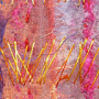 textile