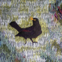 textile