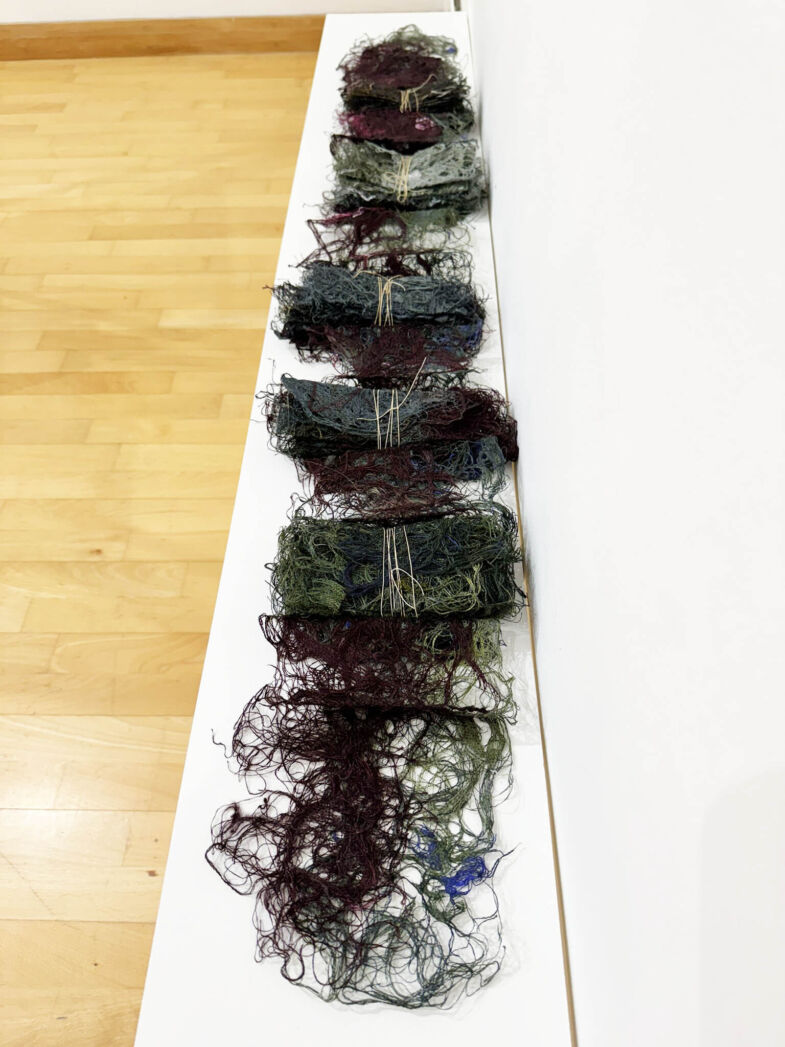 Siân Martin, Scripts from the Marshes