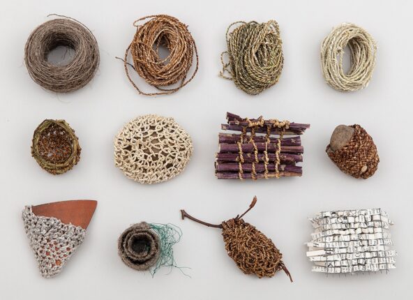 Alice Fox, Processed Materials. Processed materials and constructed objects using plant fibres and objects gathered from allotment. Insights project. Photograph by Electric Egg.
